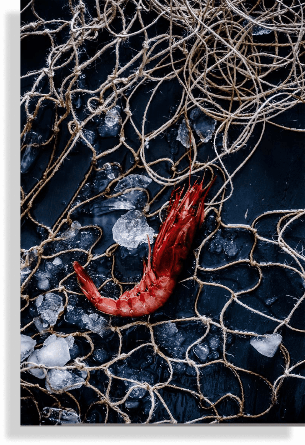 Hải sản chế biến