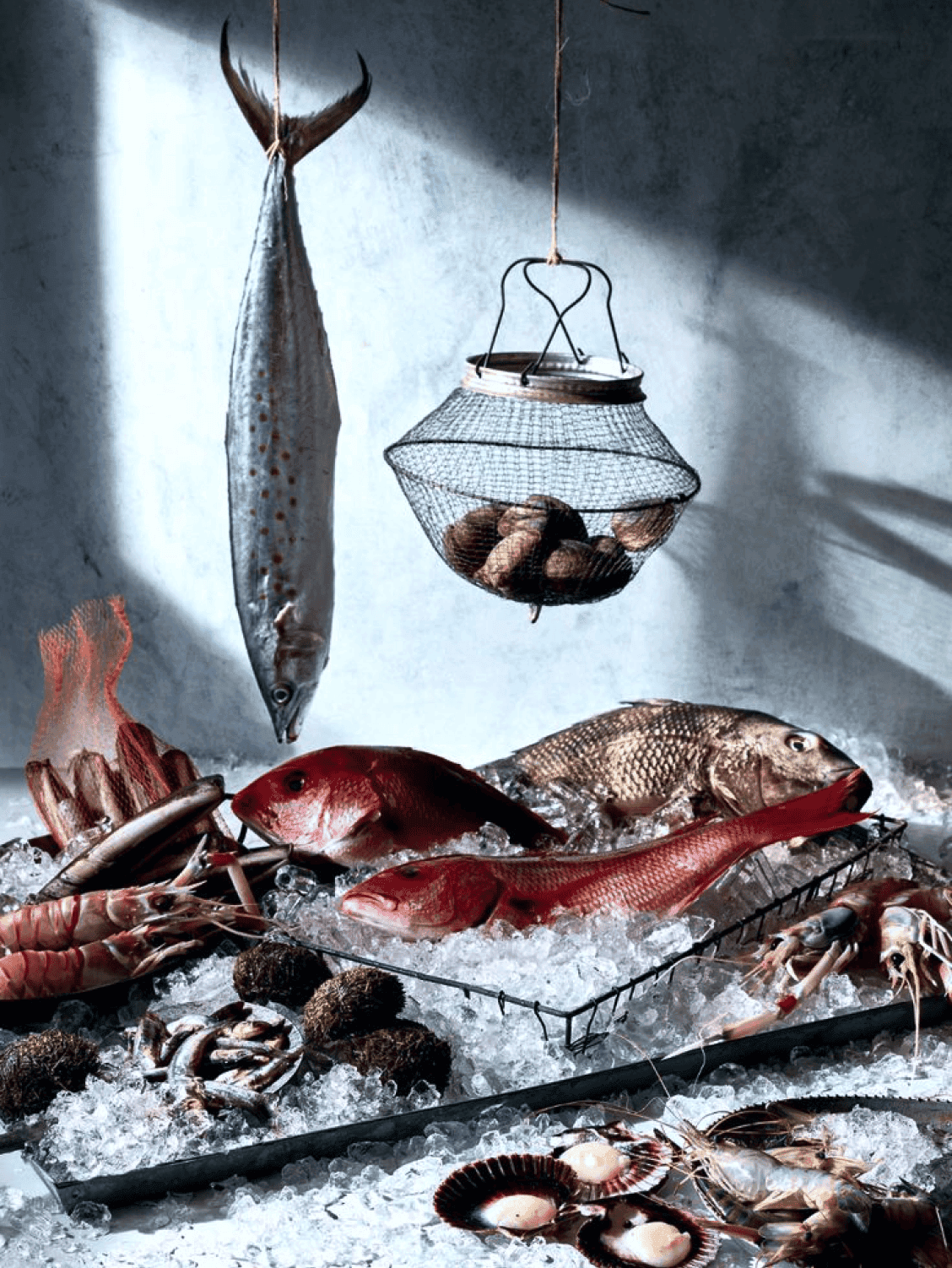 Tôm cá biển tươi ngon